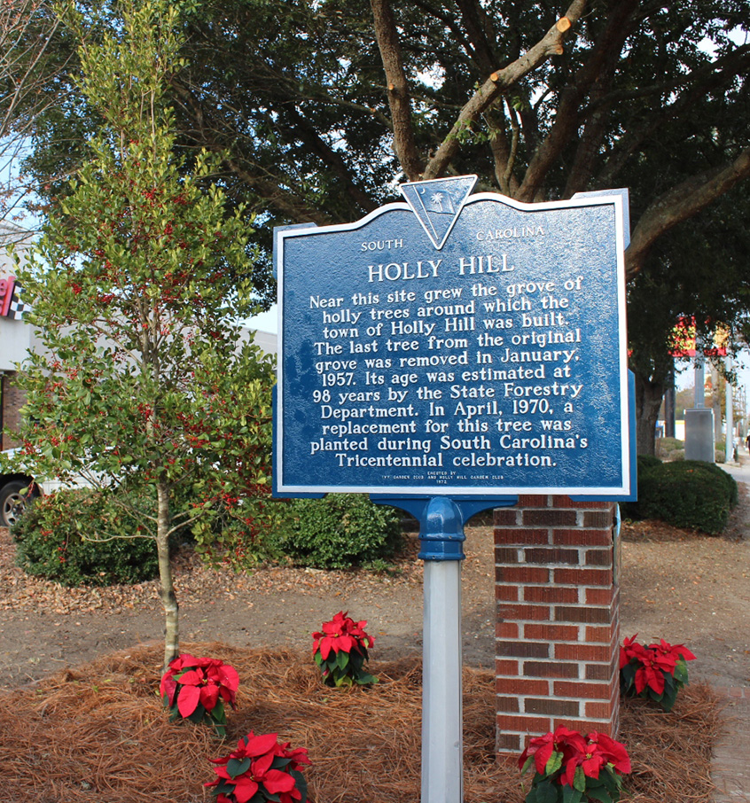 Holly Tree Sign with Historical Information
